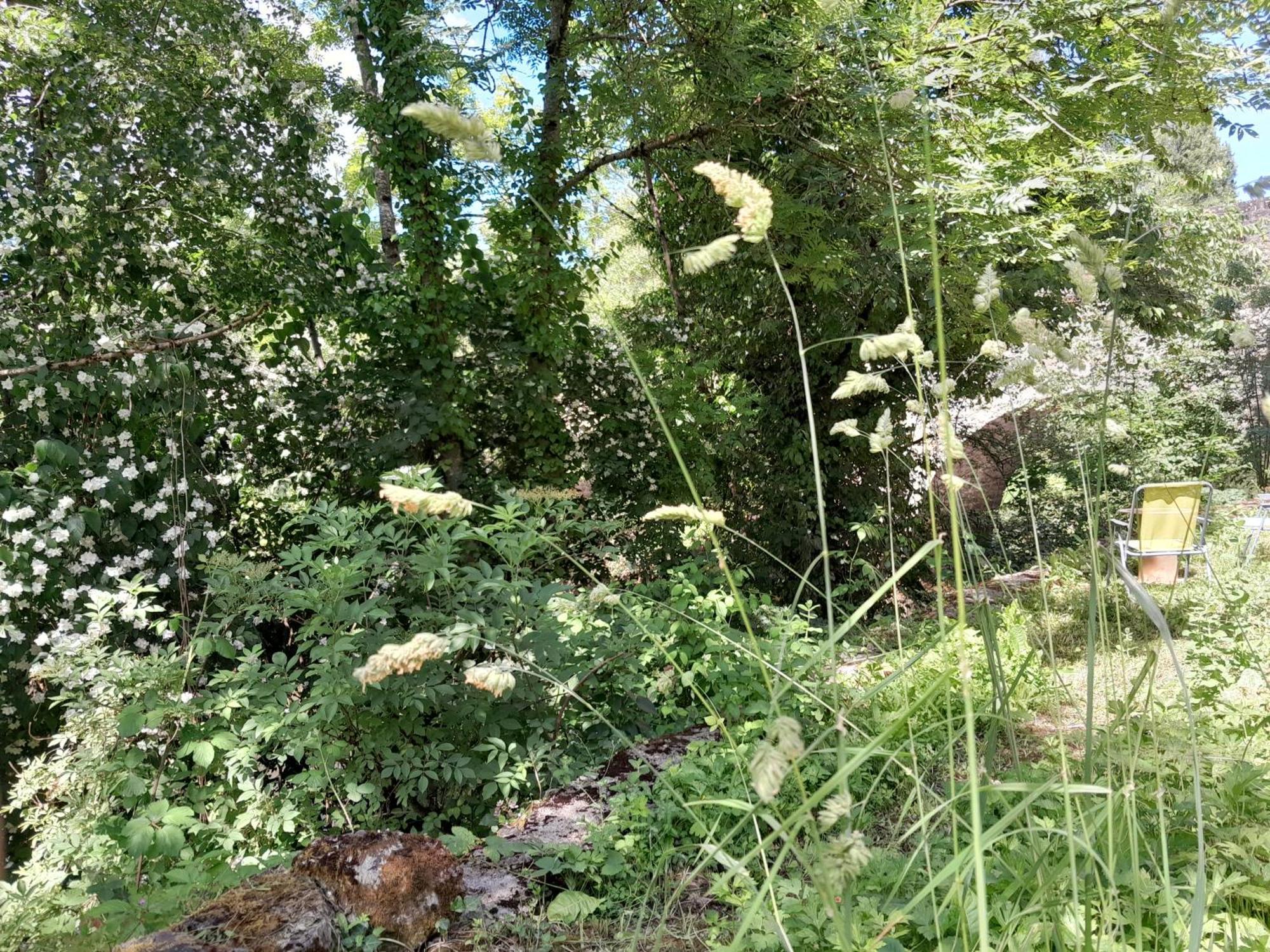 Appartement Privatif En Bord De Riviere Figeac Kültér fotó